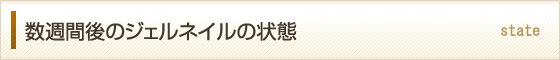 TԌ̃WFlC̏